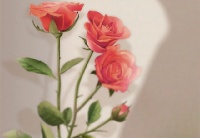 祝天下女神們節(jié)日快樂?。?！